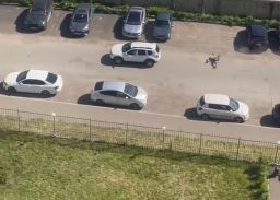 Водитель кроссовера протащил мужчину по дороге в центре Ростова
