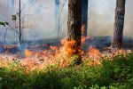 На Дону объявили штормовое предупреждение из-за высокой вероятности пожаров