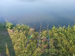 В Ростовской области с 1 июня снимут нерестовый запрет