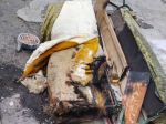В Ростове при пожаре 67-летний мужчина получил сильные ожоги