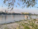 К купальному сезону в Ростове откроют четыре оборудованных пляжа