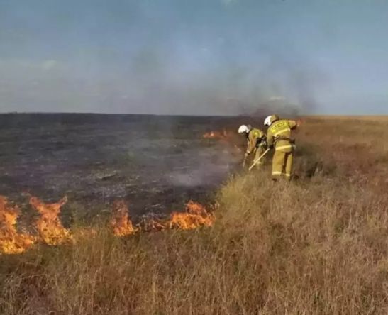 Желтый уровень пожароопасности объявили в Ростовской области