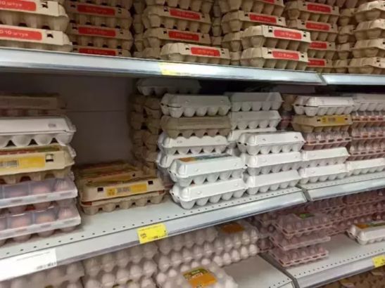 В Ростовской области за полгода цены на яйца стали ниже на 28%