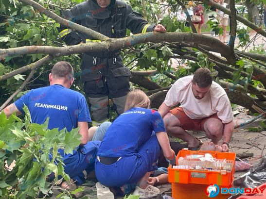 В Ростове на Пушкинской улице дерево упало на женщину