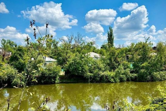 В реке Гнилуша в Красном Сулине обнаружили останки человека