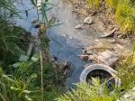 В Ростовской области зафиксировали загрязнение ручья Ерик сточными водами