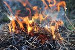 Чрезвыйчайный уровень пожароопасности объявили в 13 районах Ростовской области