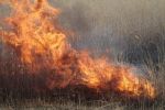 В 13 районах Ростовской области сохраняется наивысший уровень пожарной угрозы