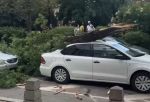 Огромное дело упало на машину из-за сильного ветра в центре Ростова