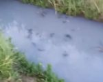 Под Ростовом вновь зафиксировали слив нечистот в ручей Быстрый