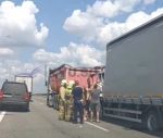 На трассе М-4 «Дон» в районе Шахт произошла жуткая авария
