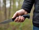 В Ростовской области мужчина удерживал пассажирку поезда в заложниках и угрожал ножом