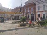 В Ростове во время жуткого урагана свалились 13 деревьев