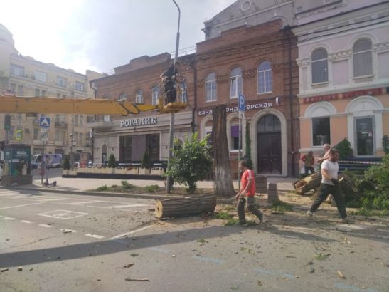 В Ростове во время жуткого урагана свалились 13 деревьев
