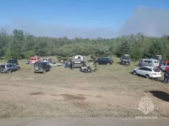 В Ростовской области потушили крупный лесной пожар