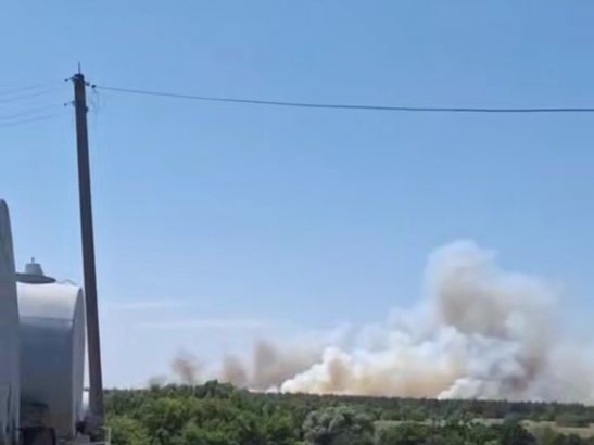 В Каменском районе потушили огромный пожар на площади 45 гектаров