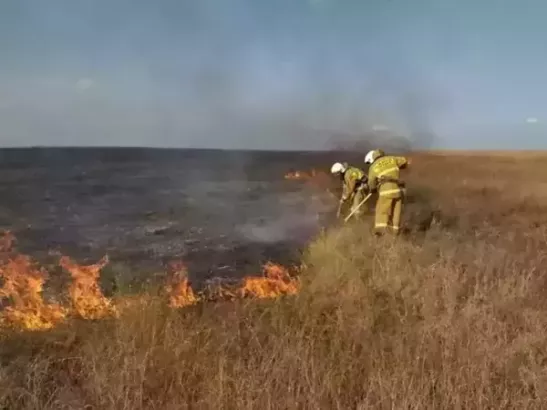 В Ростовской области за сутки ликвидировали 20 пожаров