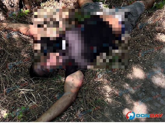 Разлагающийся труп мужчины нашли под Ростовом