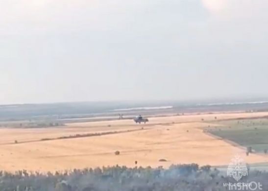 В Багаевском районе ликвидировали крупный лесной пожар