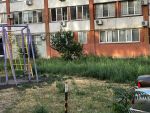 В Ростове во дворе дома в Днепровском амброзия выросла высотой до колена
