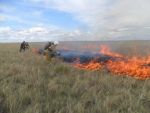 В Ростовской области сохраняется чрезвычайная пожароопасность из-за сильной жары