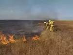 В Ростовской области за сутки ликвидировали 20 пожаров