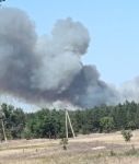 На площади 97 гектаров в Ростовской области полыхает лес