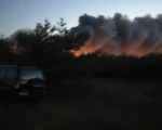 Крупный лесной пожар в Каменском районе Ростовской области тушат больше семи часов