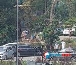 Иномарка влетела в дерево в Ростовской области