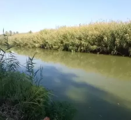 Минприроды проверит информацию о сливе нечистот в ручей Батайска