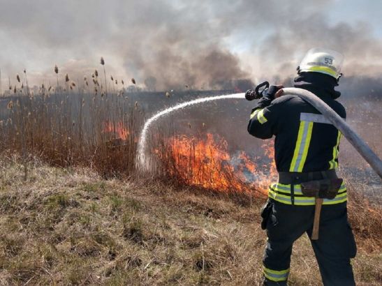 За сутки в Ростовской области произошло 24 пожара