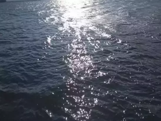 Шесть беспилотников были сбиты над Азовским морем