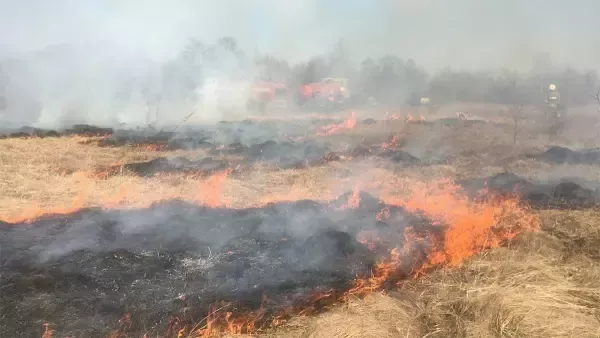 Крупный ландшафтный пожар потушили в Ростовской области
