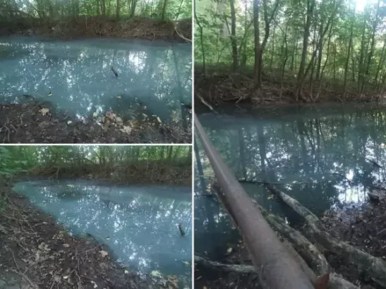 Специалисты Минприроды проверят информацию о сливе нечистот в водоем под Ростовом