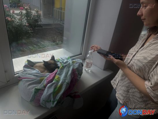 В поврежденных из-за атаки беспилотников квартирах Ростова остались питомцы