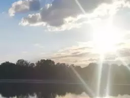 Ночью в Ростовской области сбили 16 БПЛА