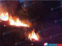 Из-за горевшей травы в Шахтах едва не вспыхнули дома