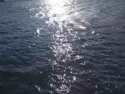 Шесть беспилотников были сбиты над Азовским морем