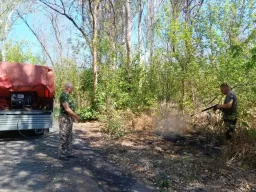 Подозреваемого в поджоге 100 квадратов леса задержали в Ростовской области