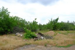 Около трех гектаров хлама обнаружили на сельхозучастке в Ростовской области