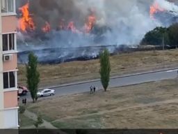 В Ростове-на-Дону на Суворовском горит сухая трава