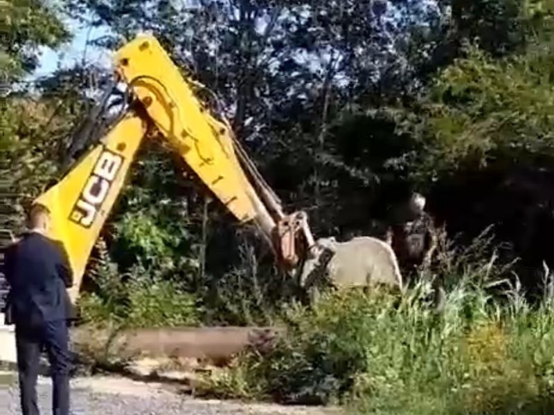 В Батайске снова остановили сброс нечистот в ручей Быстрый