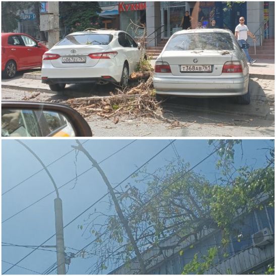 В Ростове ветки дерева рухнули на припаркованный у Дома быта автомобиль.