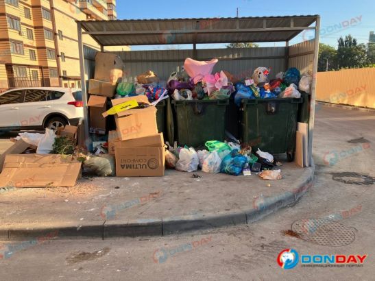 В Ростове грызуны появились во дворе жилого дома из-за переполненных жбанов