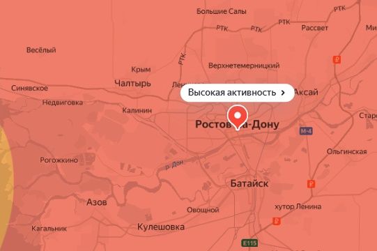 В Ростове сохранится высокая активность пыльцы амброзии до сентября