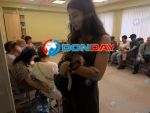 Жители Ростова рассказали, как спасали своих питомцев во время атаки дронов