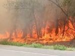 Из-за крупного ландшафтного пожара временно перекрыли трассу Ростов — Волгодонск