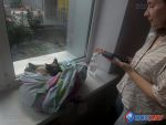 В поврежденных из-за атаки беспилотников квартирах Ростова остались питомцы