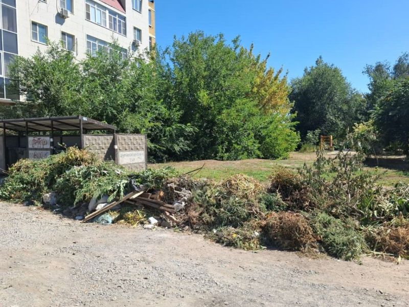 На Дону с сентября будут штрафовать за выбрасывание листвы в мусорные контейнеры