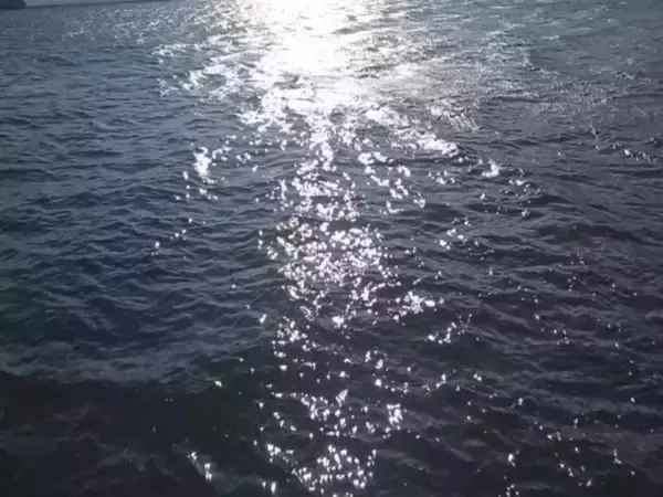 Над Азовским морем в ночь на 1 сентября сбили семь беспилотников